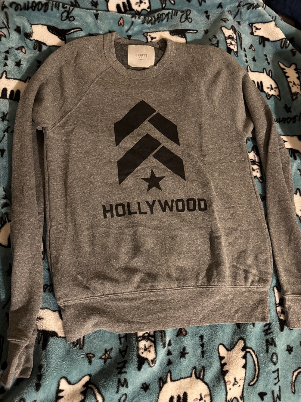 Unisex Gray HOLLYWOOD Graphic Crewneck Sweater by Barry’s